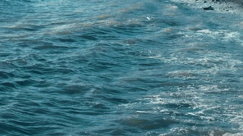 Slow motion seagull flying over sea waves during stormy weather at daytime in Stock Footage 121532620