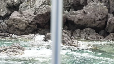 Slow motion seagull sitting on a rock taking off Video stock 116323022