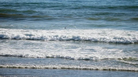 Slow motion seagulls flying over breaking waves Stock Footage 88604805