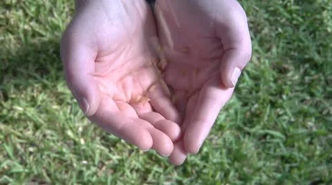 Slow Motion Seeds Falling into Hands Stock Footage 22322567
