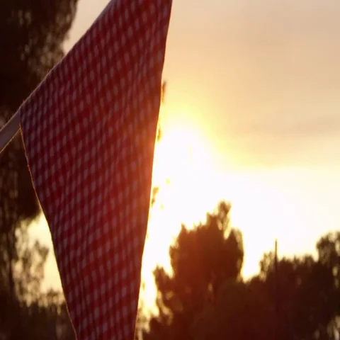 Slow Motion Sequence Of Colorful Bunting Hanging In Garden Stock Footage