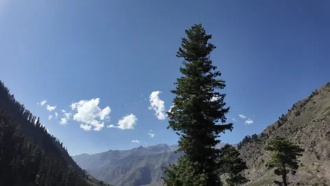 Slow Motion Serenity Mountains, Trees, and Soft Clouds Under a Brilliant Blu Stock Footage 286338431