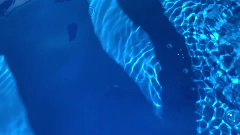 Slow motion shadow in blue bucket of water 스톡 동영상 130892131