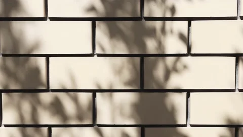 Slow motion shadow from the leaves of a tree on a straw-colored brick wall Stock Footage 196316035