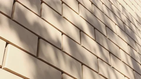 Slow motion shadow from a plant on a beige brick wall. Vídeos de archivo 194233017