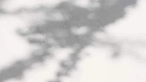Slow motion shadow from a tree on a gray concrete surface. Stock Footage 194232871