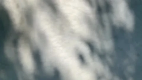 Slow motion - Shadows of foliage in thee wind reflected on a light grey wall. Видео 134609482