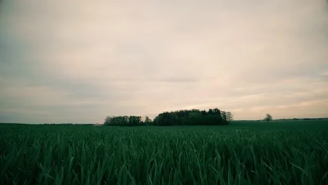 Slow motion shooting of clouds in minsk Vidéo 195884780