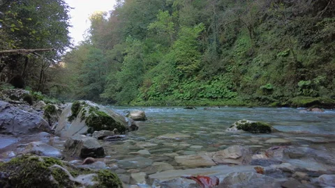 Slow motion shooting of a fast-moving mountain river Stock Footage 164582814