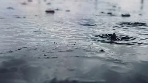Slow-motion shooting of rain drops Stock-Footage 74801642