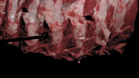Slow Motion Shooting Things With Gun bullets &amp; Explosions 스톡 동영상 124245700