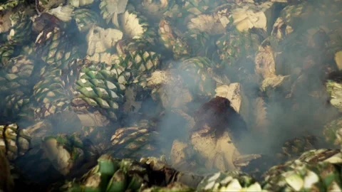 SLOW MOTION SHOT OF AGAVE PINEAPPLES FALLING INTO A FURNACE AT A MEZCAL Video stock 313468036