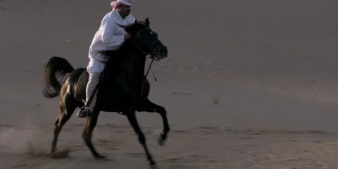 Slow motion shot of an Arabic man riding a horse in a desert. Video stock 46871527