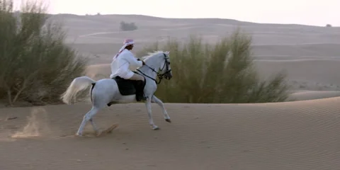 Slow motion shot of an Arabic man riding a horse in a desert. Stock Footage 46871552