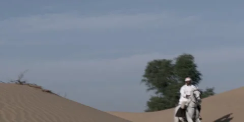 Slow motion shot of an Arabic man riding a horse in a desert. Video stock 46871583