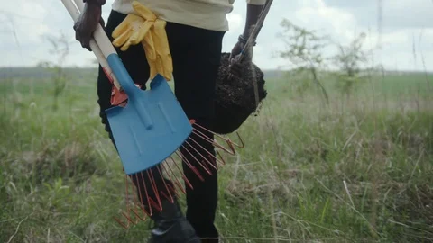 Slow motion shot back african american young man walk plant tree on field garden Stock Footage 111825255