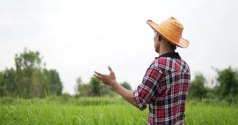 Slow motion shot, Back of Asian farmer walking and use talk on smartphone  Stockbeeldmateriaal 202065121