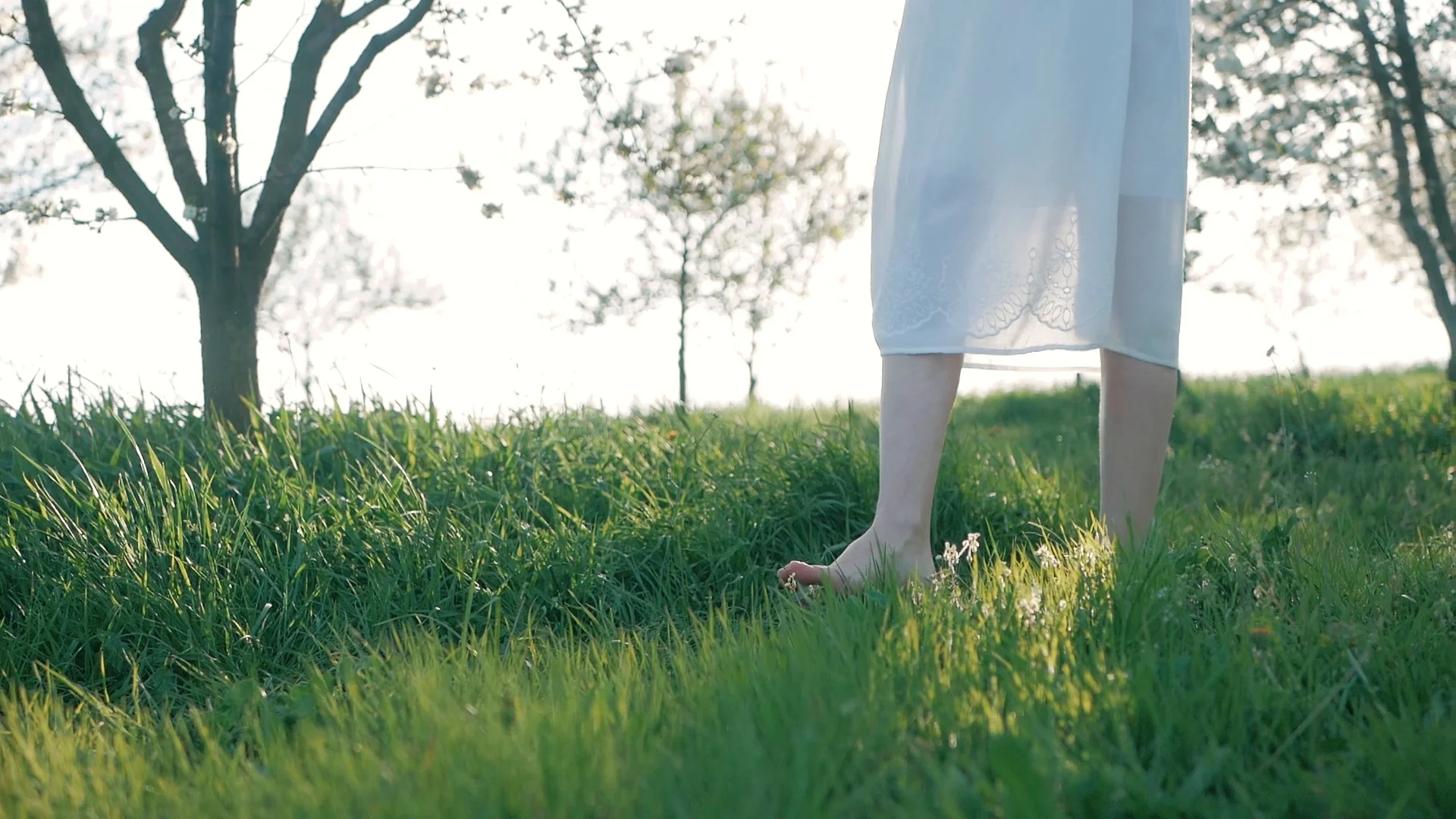 Slow motion shot of bare feet of young girl walking and running on green  grass