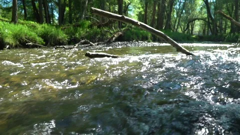 Slow-motion shot. Beautiful mountain river. Close up. Stock Footage 101284210