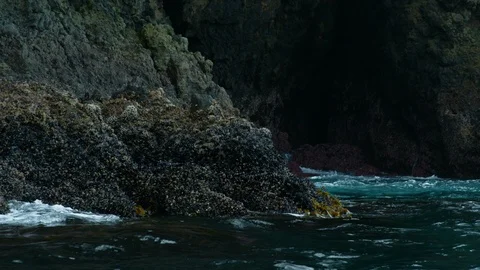 Slow motion shot of blue sea waves lapping on rocks with seaweed Vidéo 123732482