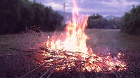 Slow motion shot of bonfire Stock Footage 63906054