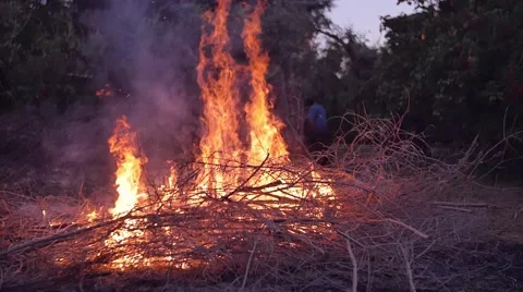 Slow motion shot of bonfire Stock Footage 63906059