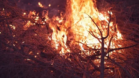 Slow motion shot of bonfire Stock Footage 63906147