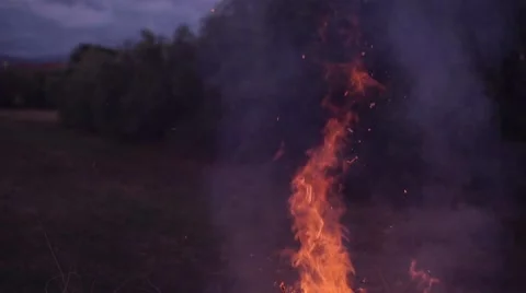 Slow motion shot of bonfire Stock Footage 63906348