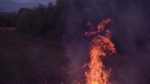 Slow motion shot of bonfire Stock Footage 63906383
