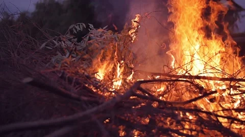 Slow motion shot of bonfire Stock Footage 63906559