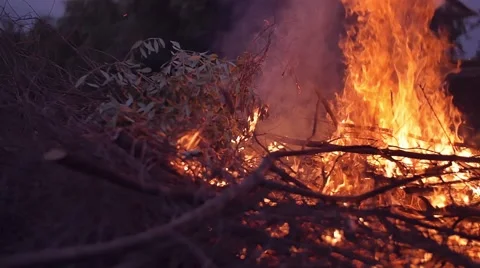 Slow motion shot of bonfire Stock Footage 63906695