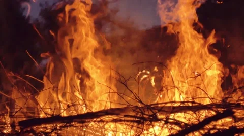 Slow motion shot of bonfire Stock Footage 63907253