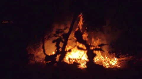 Slow motion shot of bonfire Stock Footage 63907656