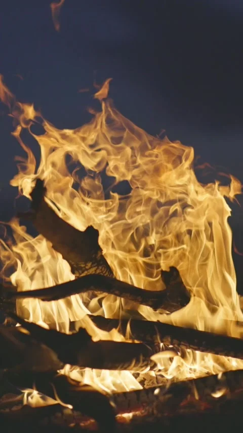 Slow motion shot of bonfire over dark blue sky background. Orange flames Video stock 270944803