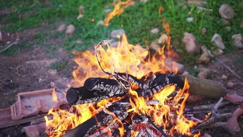 Slow motion shot of branch consumed by fire on bonfire Stock Footage 181878729