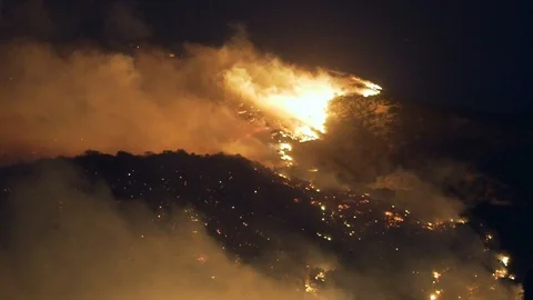 Slow motion shot of burning forests of the Australian bushfires, on a Stock Footage 122398454