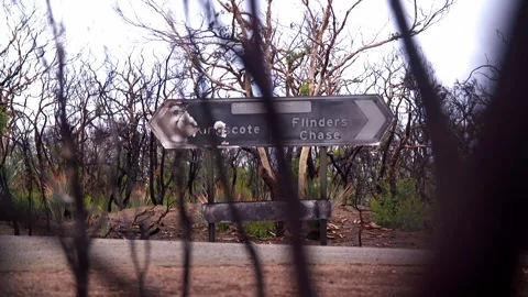 Slow motion shot of burnt road sign after Australia bushfires / wildfires Stock Footage