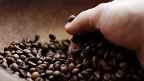Slow motion shot of coffee beans Stock Footage 87637036