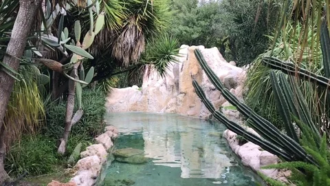Slow Motion Shot of Exotic Landscape of Waterfall Flows to Pond Видео 101937669