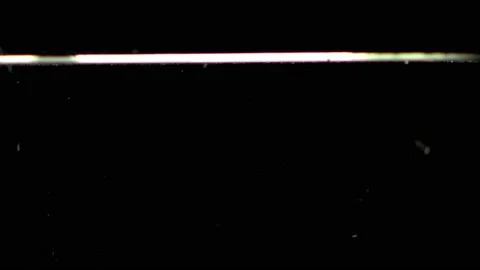 Slow Motion Shot of Falling Limes into Water at 240fps. Isolated on black Video stock 130233145