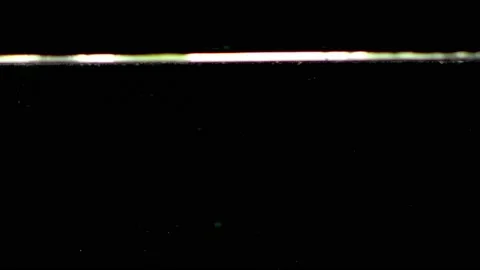 Slow Motion Shot of Falling Limes into Water at 240fps. Isolated on black Stockbeeldmateriaal 130233189