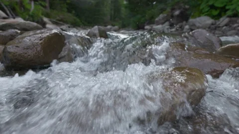 Slow motion shot of fast mountain river in the forest. Camera moves along Video stock 158540491