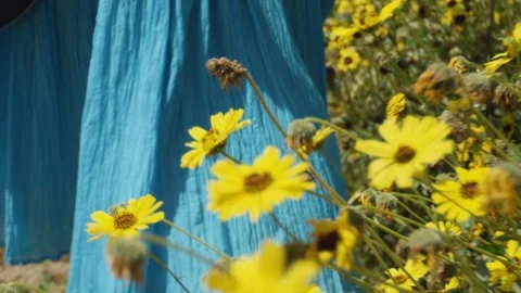 Slow motion shot of female with blue dress next to yellow flowers, California Vidéo 123740134