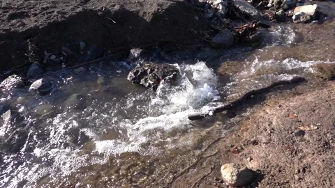 Slow motion shot of a flowing spring stream from the forest Stock Footage 230235339