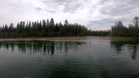 Slow Motion Shot Of Forest Trees By Clearwater River Under Cloudy Sky - Delta Stock Footage 233998484