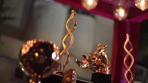 A Slow Motion Shot of an Indian Wedding Venue  Decoration in India Stock Footage 282012141