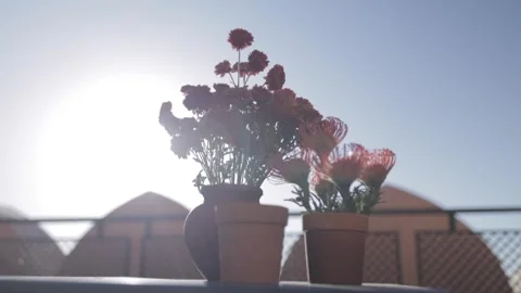 A Slow Motion Shot of an Indian Wedding Venue Decoration in India Stock Footage 313111444