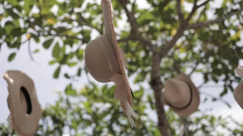 A Slow Motion Shot of an Indian Wedding Venue Decoration in India Stock Footage 313463574