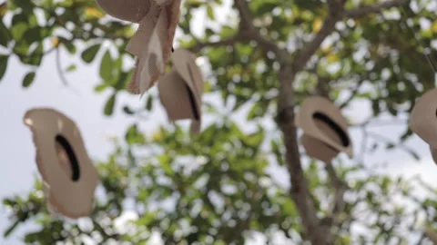 A Slow Motion Shot of an Indian Wedding Venue Decoration in India Stock Footage 313463575