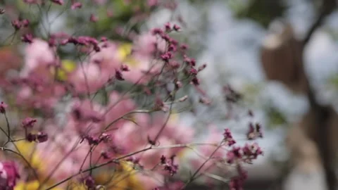 A Slow Motion Shot of an Indian Wedding Venue Decoration in India Stock-Footage 313463604